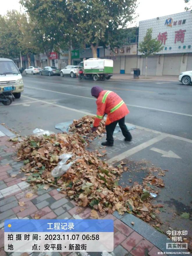 安平县：积极清扫落叶 确保城市“颜值”不掉线(图2)