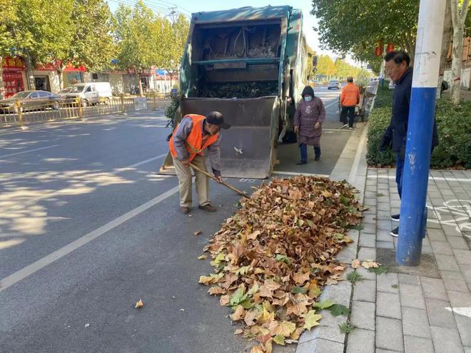 安平县：积极清扫落叶 确保城市“颜值”不掉线(图4)