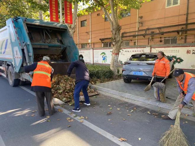 安平县：积极清扫落叶 确保城市“颜值”不掉线(图6)